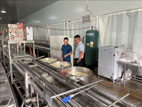 中國(guó)人壽財(cái)險(xiǎn)推出預(yù)制菜專屬定制服務(wù)，保障食品安全助力行業(yè)發(fā)展